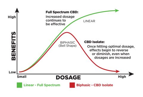 Meer is niet altijd beter: ontdek het Bell Curve Effect bij CBD en cannabinoïden