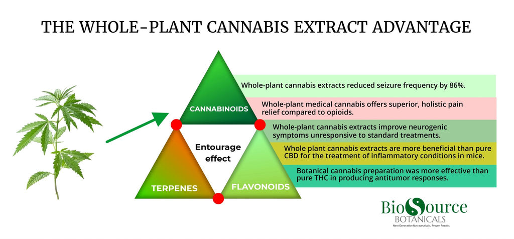 Het Entourage-Effect: De Onmisbare Kracht Achter Echte Full-Spectrum CBD