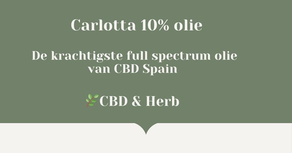 Carlotta 10% - de Krachtigste Full Spectrum Olie van CBD Spain