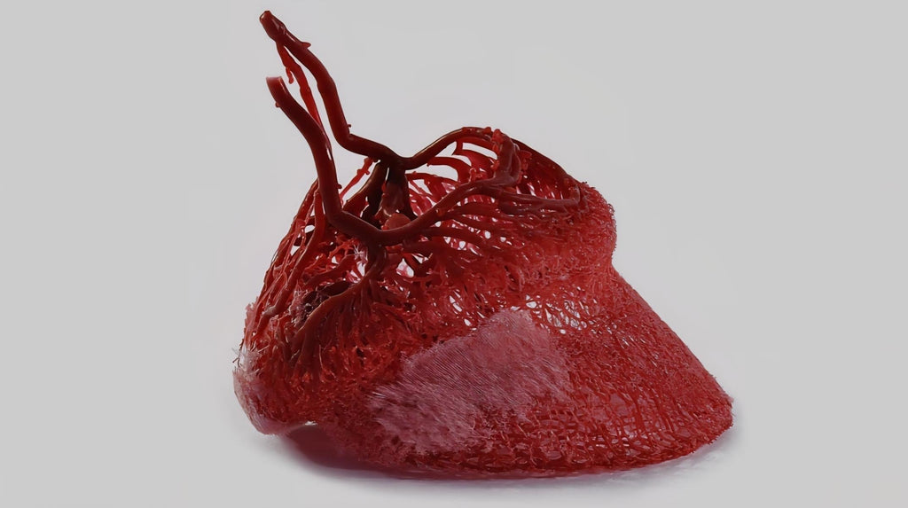 Hoefbevangenheid – een natuurgeneeskundige benadering en CBDa olie