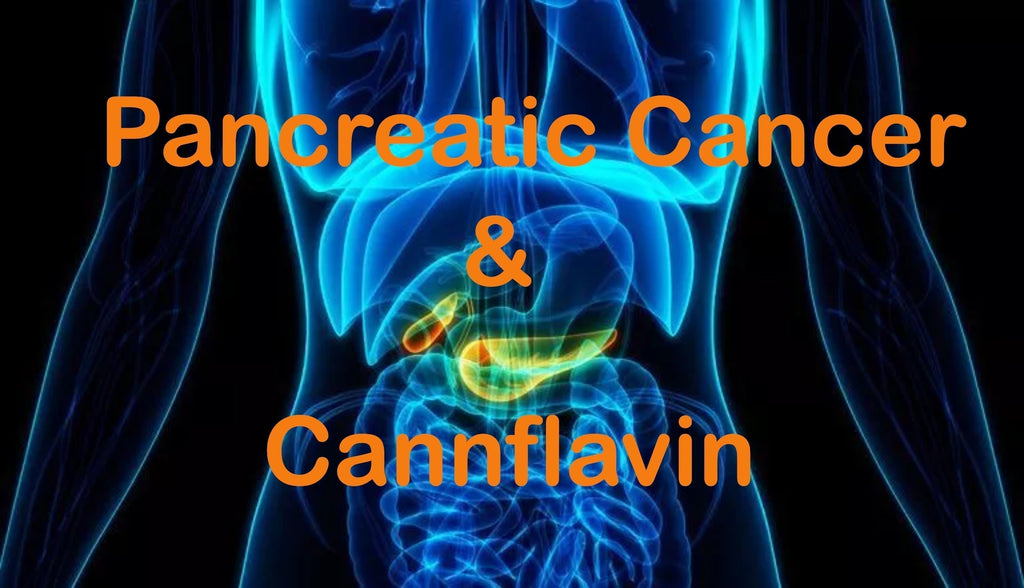 Cannflavin & Pancreaskanker: Nieuwe Hoop uit de Cannabisplant?