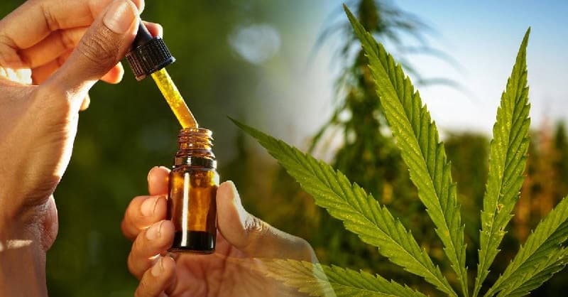 Ferroptose en cannabinoïden: hoe FS cannabis onze cellen beïnvloedt